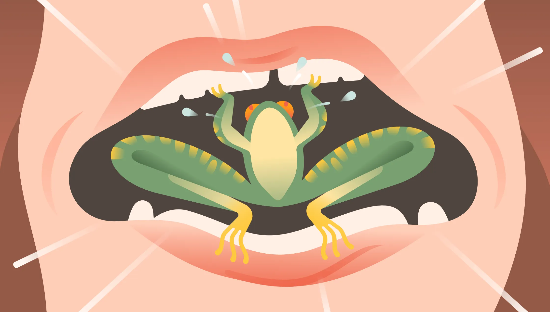 Illustration by Catarina Mouta